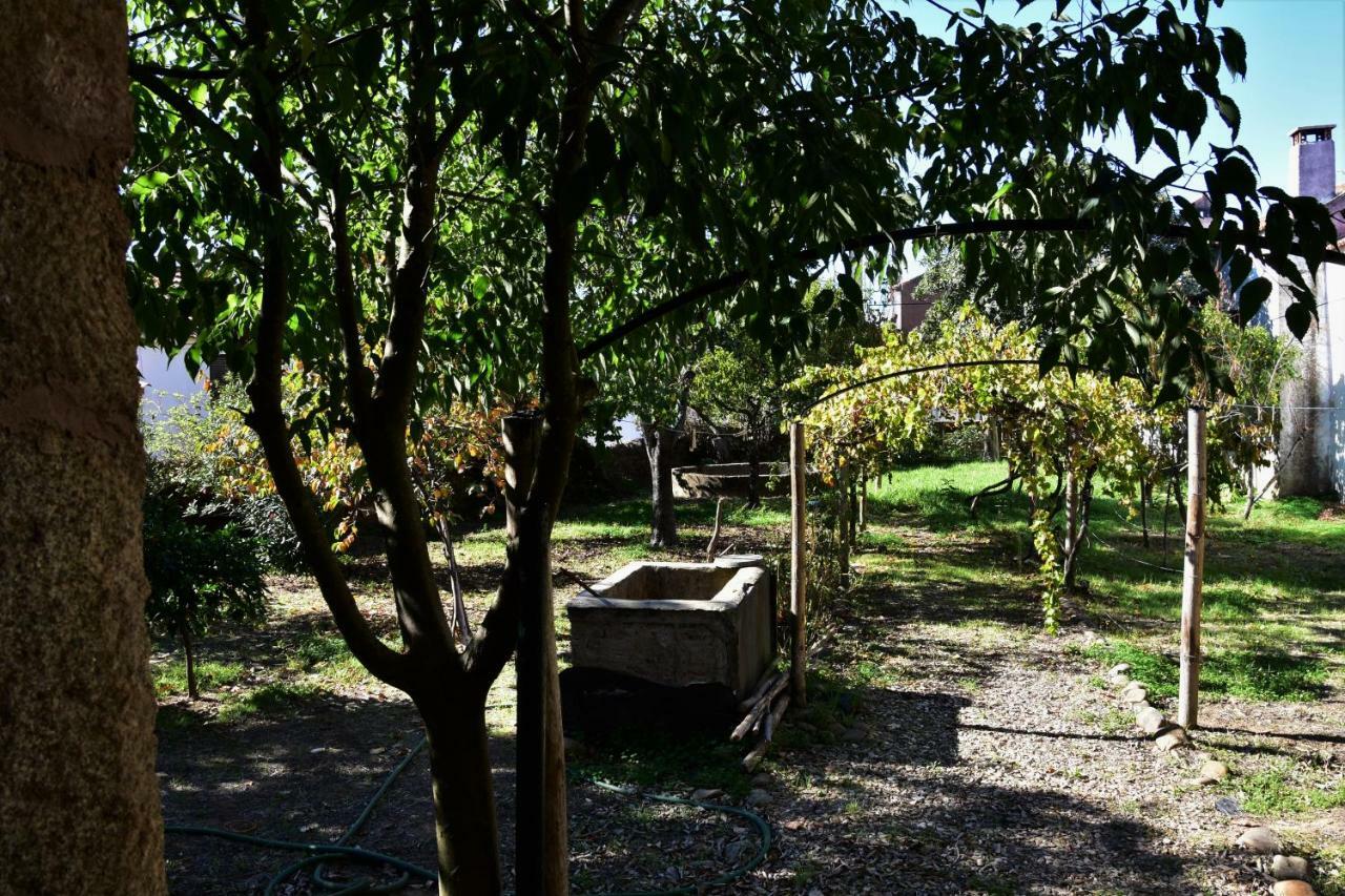 Casa Dona Amelia Villa Idanha-a-Nova Luaran gambar